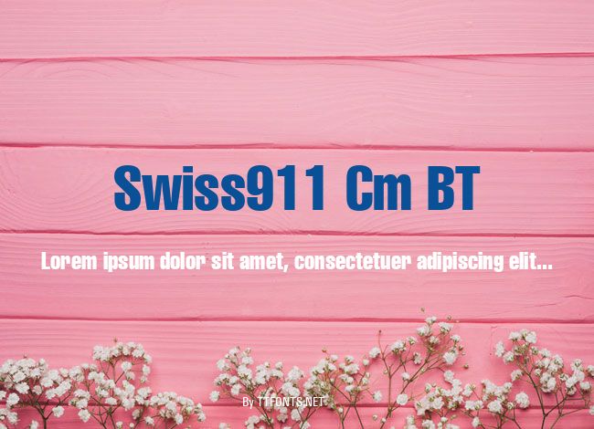 Swiss911 Cm BT example